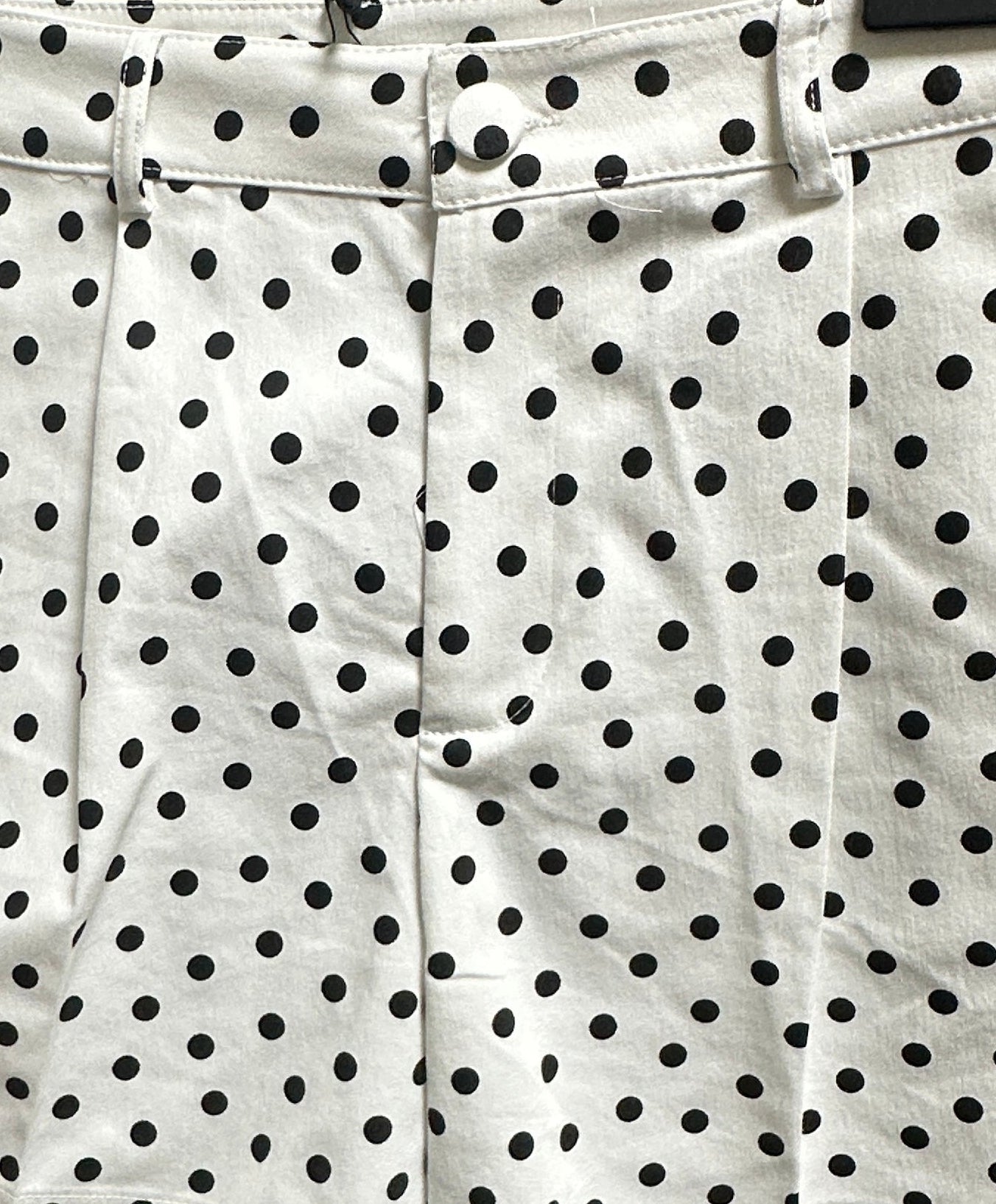 High-Waist Polka Dot Pleated Shorts
